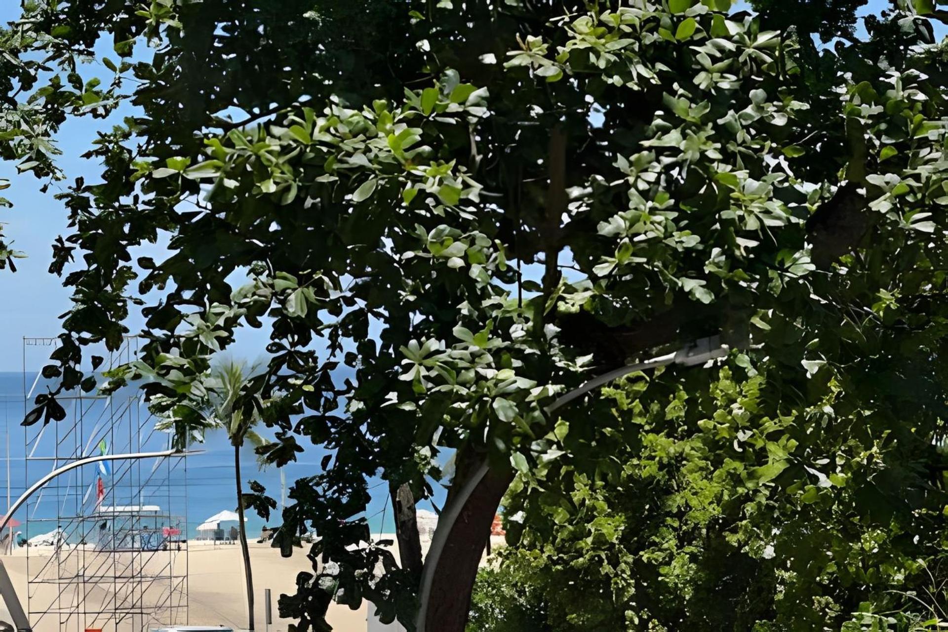 Pe Na Areia Appartement Rio de Janeiro Buitenkant foto